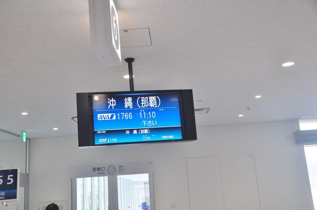 3月4日。<br />いよいよ21日間の旅の終わり。<br />ANAで、那覇乗り換え仙台行き