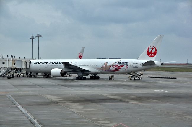 お−、真央ちゃーん！