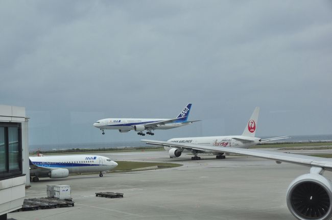 やっぱり、島だから風が強いのかな。