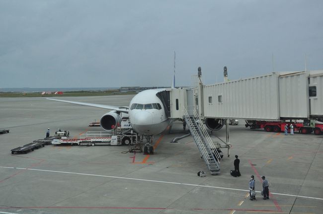 だいたい30分くらいの遅れです。<br /><br />それに、自衛隊機の離陸もあったんで、よけい遅れるー。