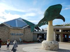 さて、ようやく目的地の美ら海水族館に到着です。

時間は１６時２０分、那覇到着から５時間かかりました。
レンタカーの手続きをしたり、食事や休憩をすると、それくらいかかるんですね。