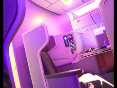 再び、ＡＡ９５０　２１：１５ー６：２０　サンパウロ発ニューヨーク行き。

ご参照：
http://4travel.jp/travelogue/10916497