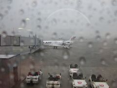 大阪・伊丹空港 上空の大雨を切り裂き