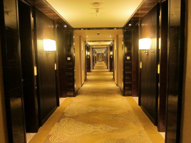 しばらくし、バスやタクシーにて<br />ホテルに移動。移動中、他のお客<br />さんでインド滞在中に起こった<br />納得いかない出来事を弾丸トーク<br />している人がいた。<br />気持ちは分からなくはないけど<br />あまり聞いていて気持ちのいいもの<br />ではなかった。<br /><br />すぐにマリオットに到着！<br />え〜すごい豪華、そして対応が<br />すごい。なんと夕食も付いて<br />いるんだって！うわ〜、すごい。