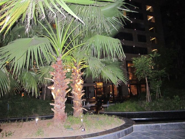 食事の席ではJAL便に乗れなかった<br />客がいろいろわがままを言っている。<br /><br />なんで急にそうなるかなぁ、、、<br />インドを旅してたら、もっといろんな<br />不自由があったと思うのだけど．．．<br />これだけ優雅な時間をくれたのになぁ、、、<br />とても不思議。<br /><br />ささっと食事をすませ、中庭に出てみる。<br />真っ暗だったけど少しぼーっとする。<br />あれ？少し涼しいな。