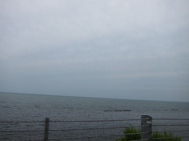 海が見えるとなんだか<br />わくわくしてきます！