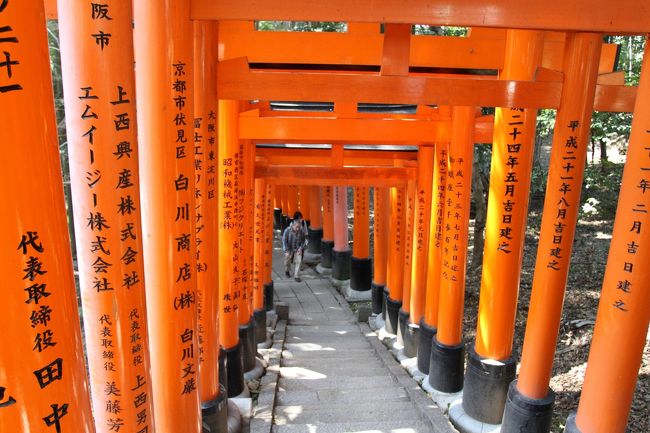 伏見稲荷大社 出町柳 いなり こんこん 恋いろはとたまこまーけっとの聖地巡礼日帰り旅行 伏見 京都 の旅行記 ブログ By 多趣味さん フォートラベル 伏見稲荷大社 出町柳 いなり こんこん 恋いろはとたまこまーけっとの聖地巡礼日帰り旅行 伏見 京都 の旅行記 ブログ By 多趣味さん フォートラベル