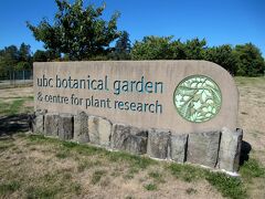 UBC植物園（UBC Botanical Garden and Centre for Plant Research）に到着です。
大学附属の植物園で、植物研究所を兼ねています。