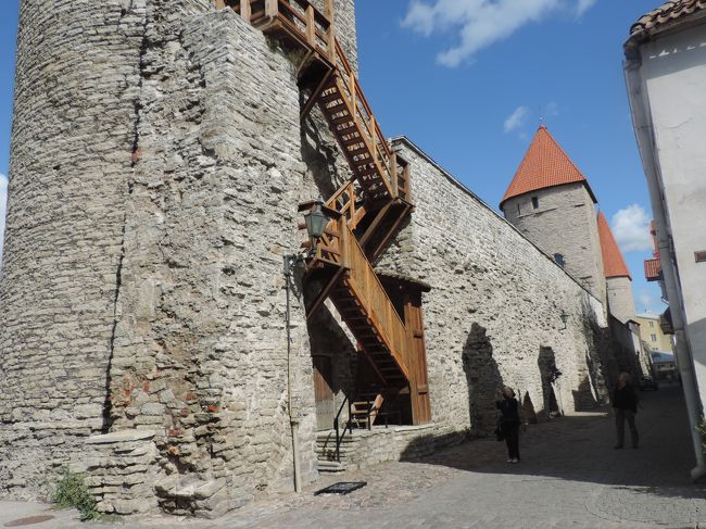 城壁　ラボラトリーウミ通り沿いに延々と続いている。１６世紀ころに補修されたものだという。