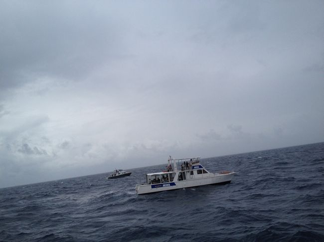 別の船も集まってきました<br /><br />クジラさん…<br />なんか<br />追いつめて…ごめんなさいって気持ちに(泣