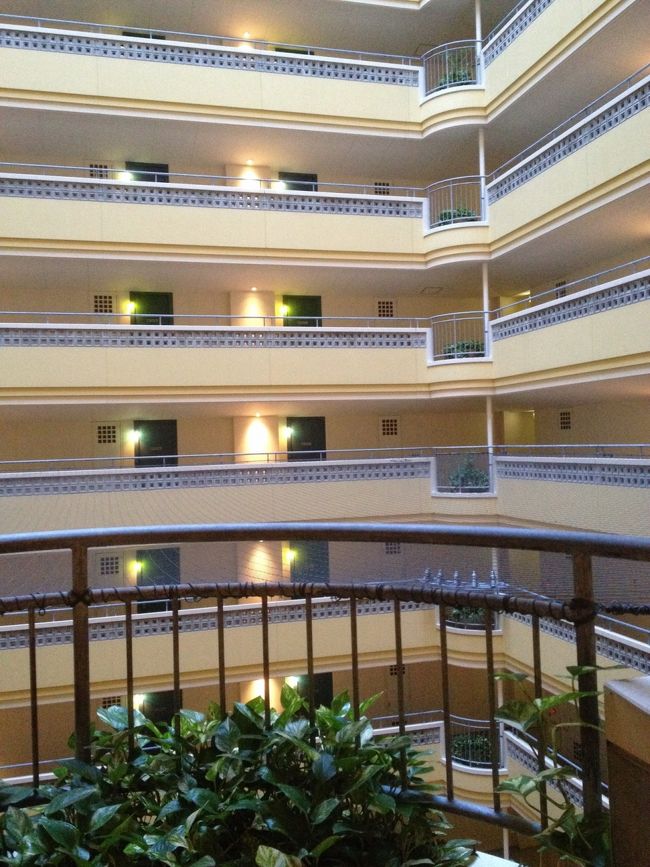 いやぁ?なんだか盛りだくさんな一日でした<br /><br />ホテルのロビーで夜市が開催されてました。<br />海ぶどうと購入して<br />売店で氷を買って<br />部屋で冷やして食べました！<br />氷水でしばらく冷やすと?海ぶどうがパンパンになって<br />プチプチでサイコ?に新鮮でおいしかったぁ