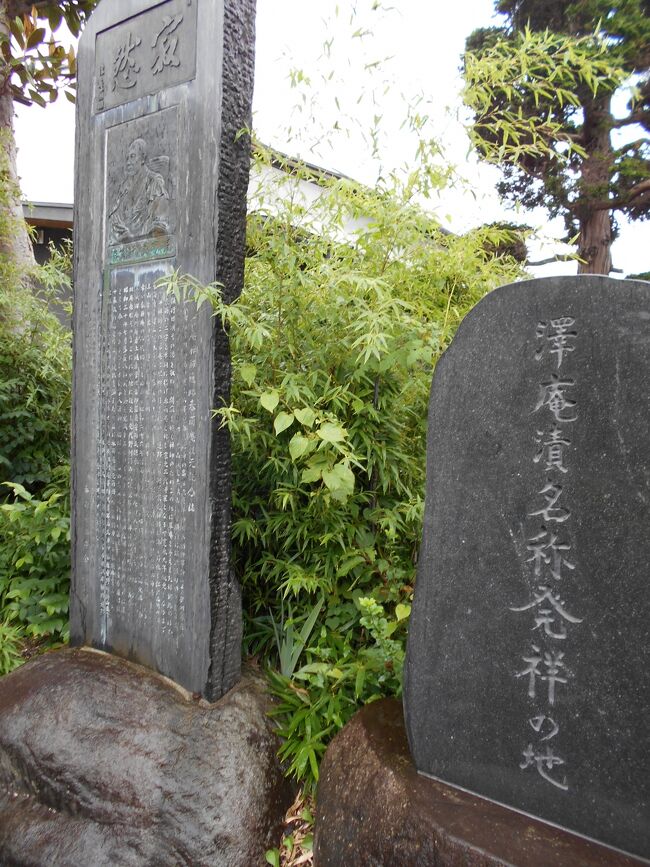 茶道具 沢庵禅師遺跡春雨庵 茶杓「山ノ井」山形上山 林慶作 共箱 - その他