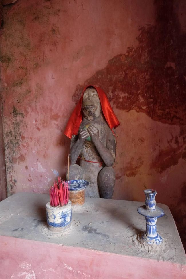 こちらがサルです