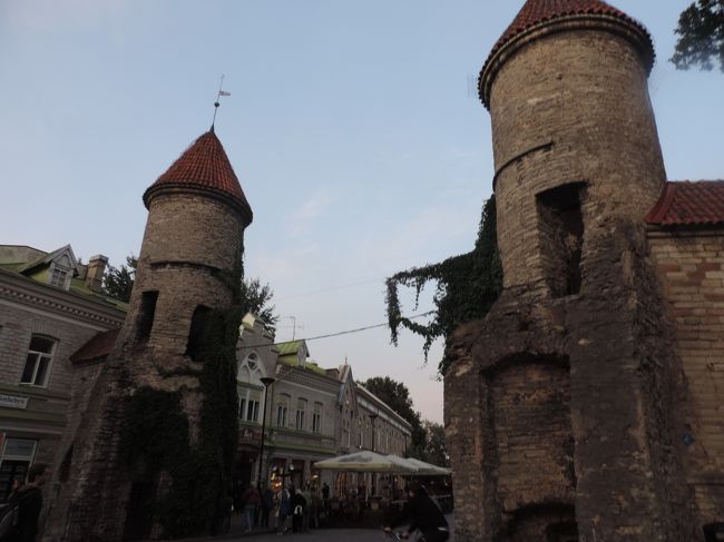 ヴィル門　１４世紀に作られた石の門。