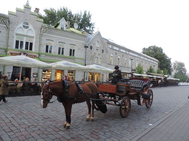 ヴィル門付近を走る馬車。<br />タリンの下町を一通り見たが、この街はまだ半分を占める山の手がある。