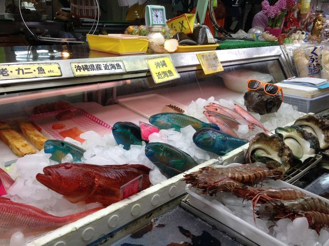 カラフルなお魚さん達<br /><br />遠ぉ〜くに<br />グラサン姿の…フグさんが