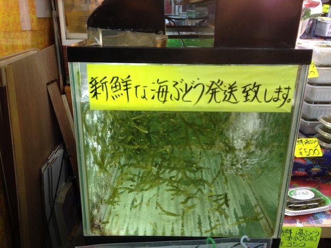 また海ぶどう\(^o^)／<br /><br />こんな感じがいっぱい