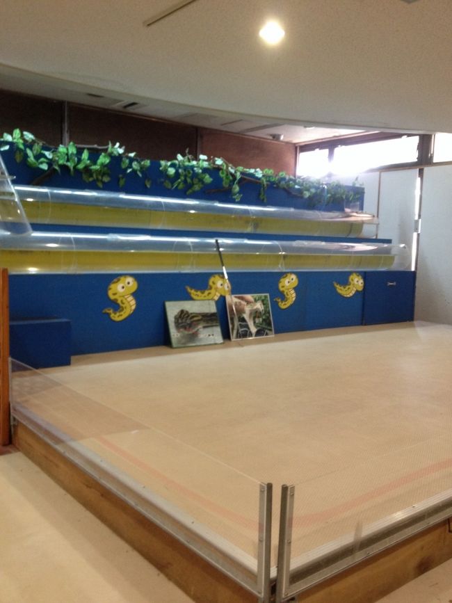 で…やっぱり(泣<br /><br />へびワールドやぁぁん