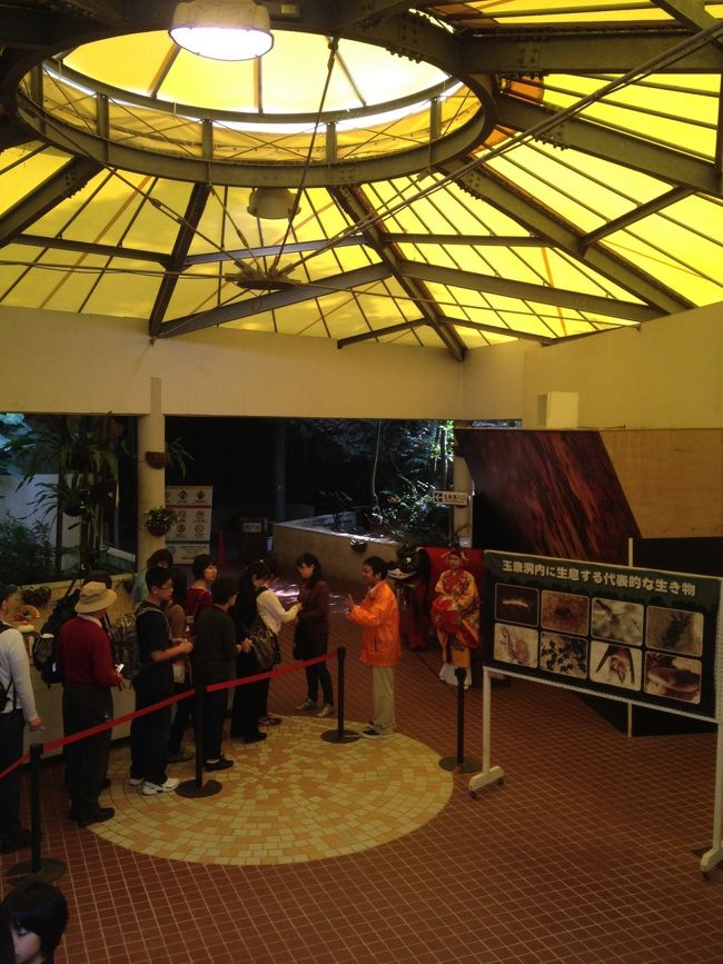 旦那ちゃん<br /><br />首に…超でっかい＆ぶっ太いへびさん<br />マフラーにされてました。。。<br /><br />気分転換に〜<br />施設内の「玉泉洞」へ移動<br />これ鍾乳洞？かな