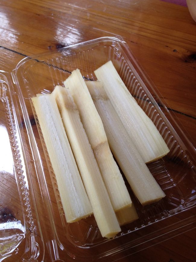 さとうきび♪<br />そのもの！<br /><br />ガシガシ…噛んで蜜を吸う感じww