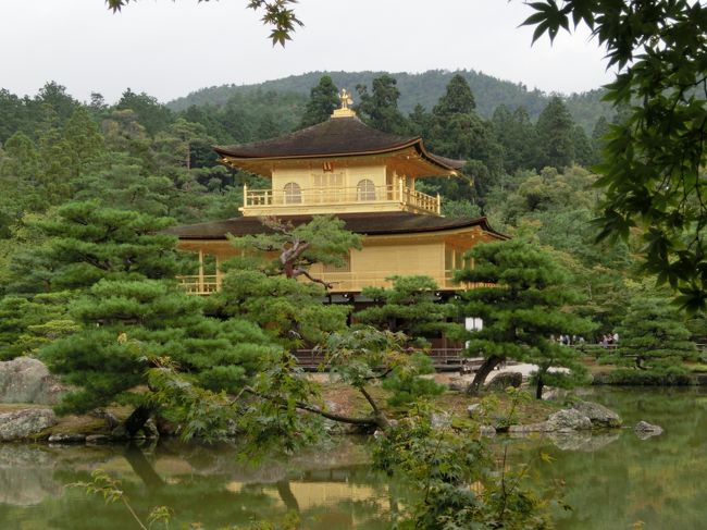 【中古】 金の知識 その全体像をさぐる/有斐閣/松村善太郎 楽天市場】【中古】 金の知識 その全体像をさぐる / 松村 善太郎