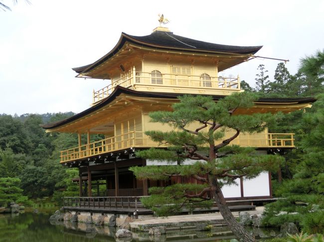 【中古】 金の知識 その全体像をさぐる/有斐閣/松村善太郎 楽天市場】【中古】 金の知識 その全体像をさぐる / 松村 善太郎