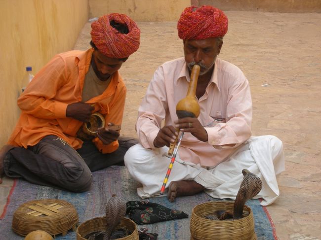 子供の頃から憧れの国 インド1週間の旅 インドの旅行記 ブログ By Y Nさん フォートラベル 子供の頃から憧れの国 インド1週間の旅 インドの旅行記 ブログ By Y Nさん フォートラベル