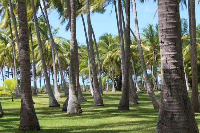 ここで寝そべるとガーデンビューです。