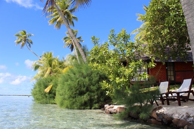 部屋の前は遠浅の海です。
