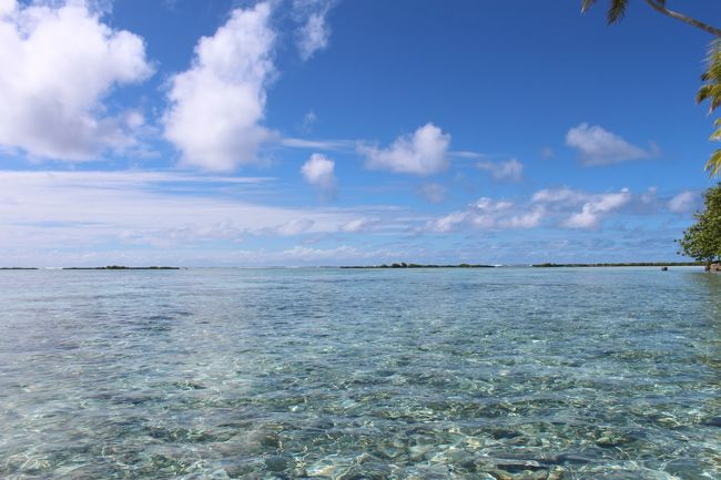 お部屋からはこんな眺め