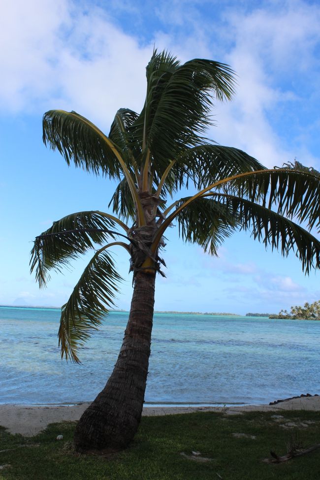 チェックアウトの方が何組かいましたが、この日の宿泊ゲストは3組だけでした。<br />静か・・・・