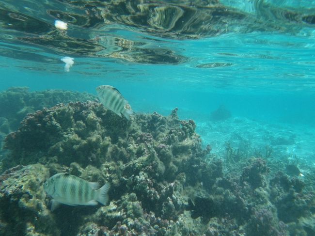 とても感激した1日でした。