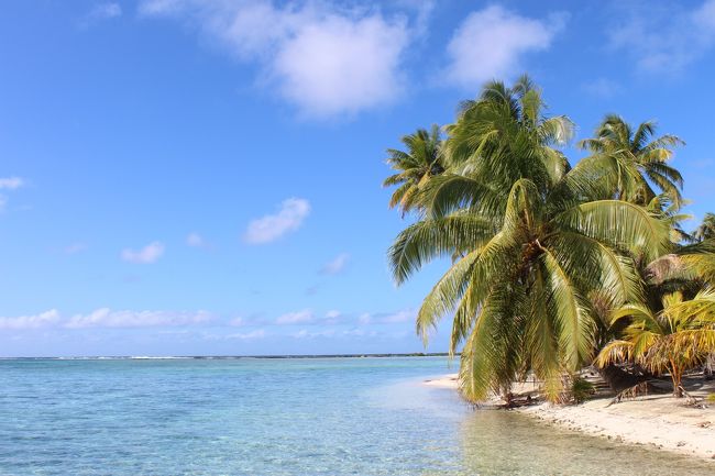 島に上陸<br />ボートを係留し大きな四角い浮きを取りだし出発<br />絶えず気に掛けてくれ感謝です。<br />初めてマスクを付け顔を水に付けてゆらゆら出来ました。<br />