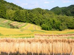 鴨川市釜沼 大山千枚田