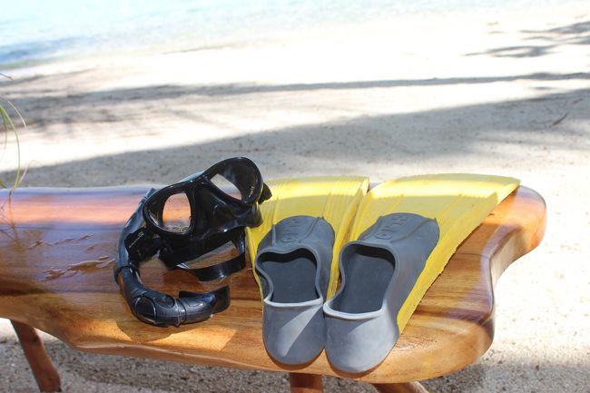 フィンやマスクも新しいので気持ちいいです。