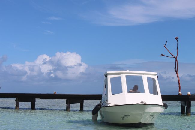 本日も2時半からシュノーケリング<br />日によって時間が違います。