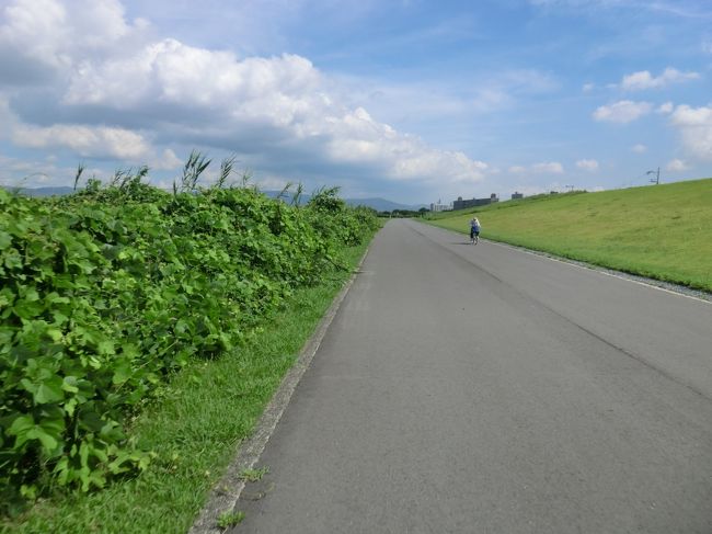 京都 滋賀県 1号線 自転車