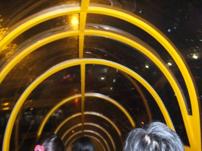 サイゴンの空港に着陸<br /><br />そして地上を走りスポットまで・・・<br /><br />これがまた長い　途中で、２度停止（各１０分ほど）<br /><br />ランディングしてから、このタラップを降りるまで１時間近くかかったかな・・・（汗）<br /><br />結果、到着予定時刻を２時間過ぎ午後９時半