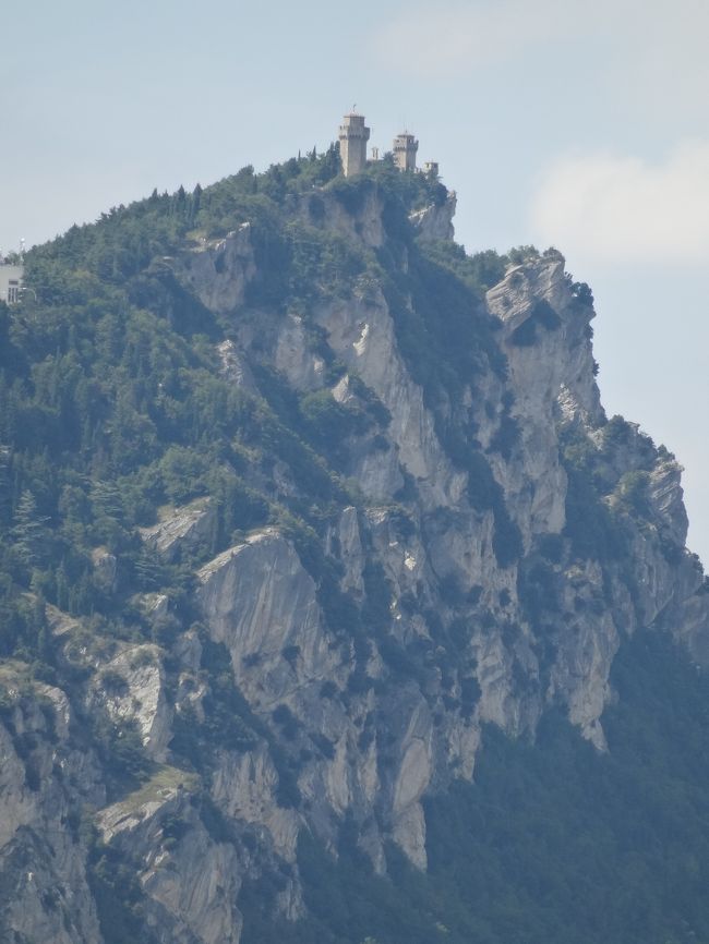 望遠を使って拡大すると、ほらね。