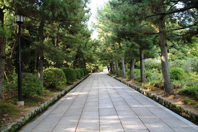 駐車場から続く参道