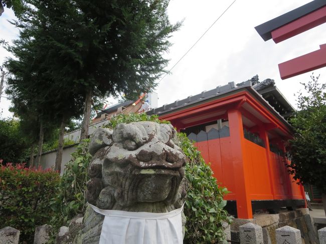 社所でご朱印をいただいてると、若いシュっとした宮司さんが、檜皮ぶきの工事のことを話して下さいました♪<br /><br />「珍しい灯籠がありますから、見ていって下さいね！」<br /><br />