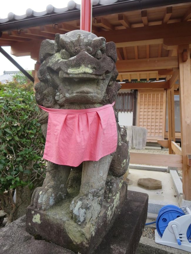 阿の狛犬さま♪