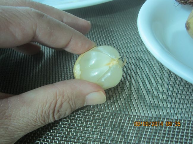 最終日のホテル。ホテルのレストランでの朝食。フルーツ、ランソーネス。これってウマイ。なんで日本に無い。