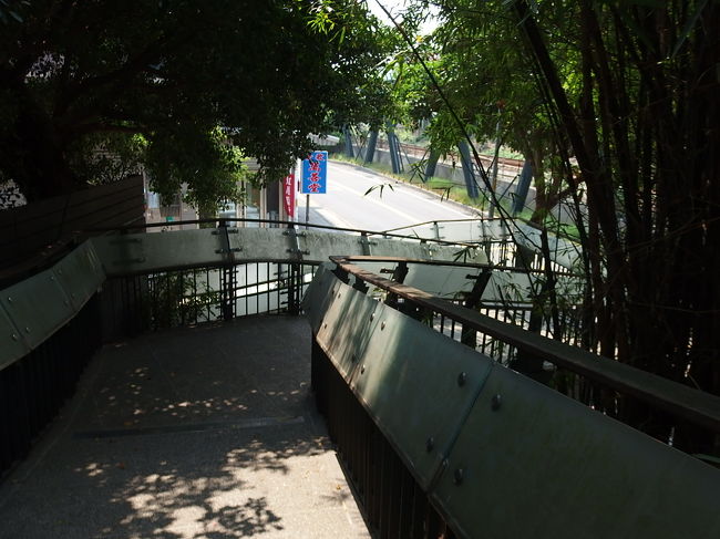 木の中をぐるぐる。<br />ちょっと楽しくなってきました。