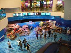 サイアム・パラゴンにある水族館、Ocean World
