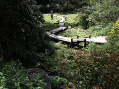 ここからは、六甲高山植物園の中に展示された作品を巡っていきます。
高山植物園へは裏口に当たる東入口から入場し、高山植物の咲く回廊を水の流れとともに下っていくながら、その途中々々にある作品を巡ってみました。

