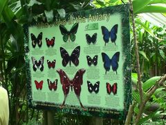 中に入ると施設内にいる蝶一覧。