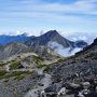 今年三度目の正直、夢がようやく叶う / 南アルプス北岳・間ノ岳 - 高山植物観賞編