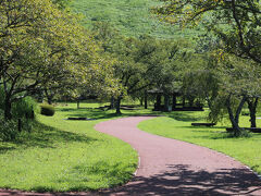 大室山ロープウェイは予想を超える混雑につき諦め桜の里に移動さました。