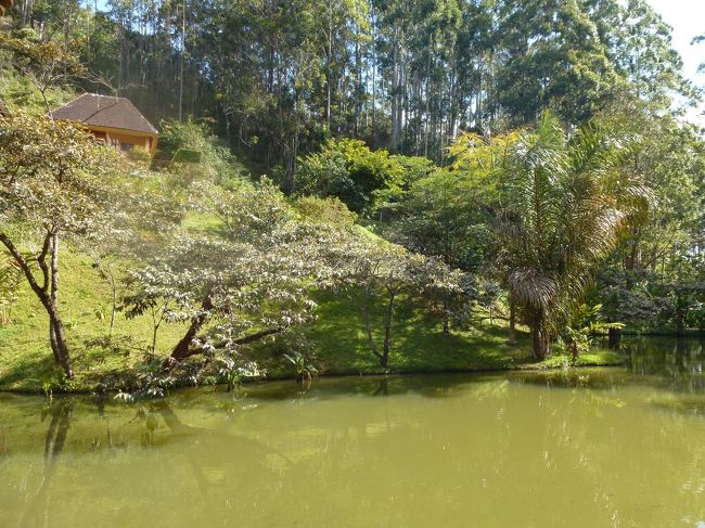 ホテル敷地のレムールアイランドへ。<br />原猿類（レムール）を餌付けしている施設です。<br />